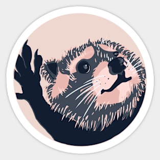 PEDRO RACCOON TIKTOK MEME STICKER Sticker